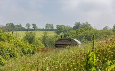 Devonia Escapes: Delight in the Essence of Nature at Kingfisher and Fern Cabins!