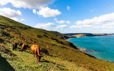 Luxury Glamping in Devon: Experience Nature’s Beauty And Thrills, with a Touch of Elegance