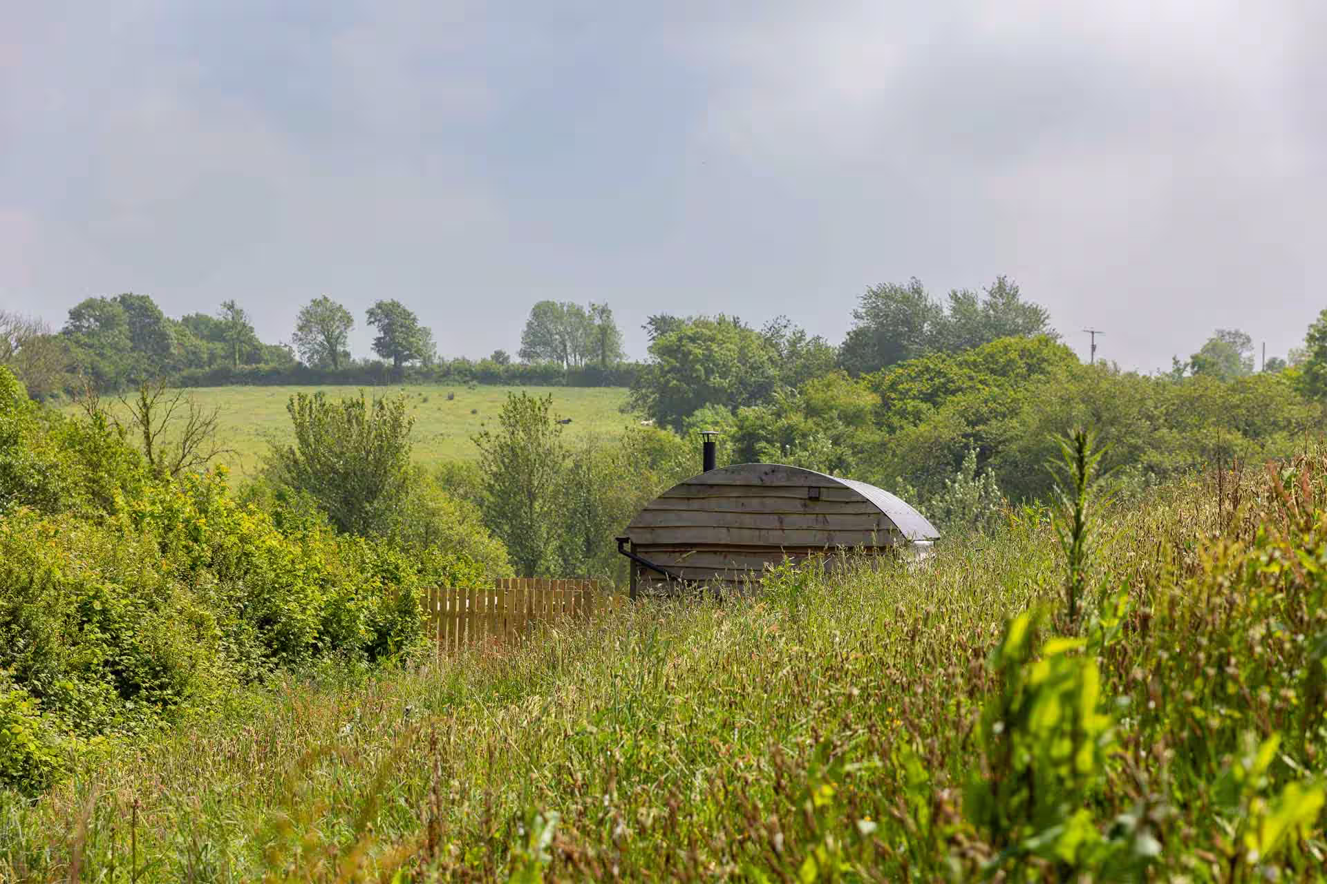Fern Cabin Through Long Grass