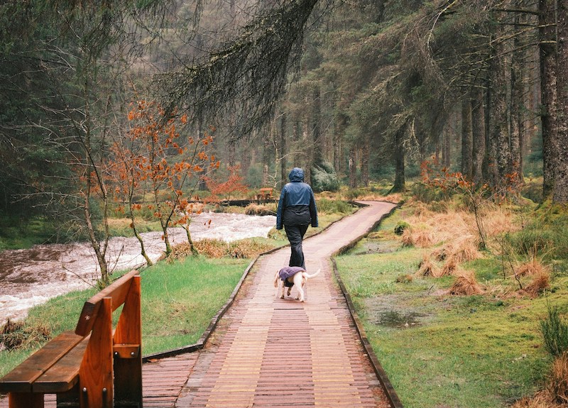 things to do in North Devon in the rain